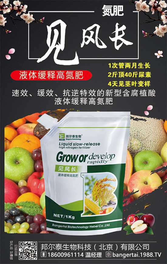 金錢草有哪些生長習(xí)性？金錢草怎么種植？