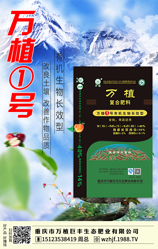 戰(zhàn)略合作再升級(jí),萬(wàn)植巨豐攜手1988.TV再創(chuàng)輝煌!