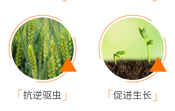 ���@����⛾�-�Z��_05