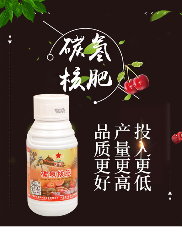 ̼?x��)�˷?�t���T-̼?x��)�?gu��)�H_01