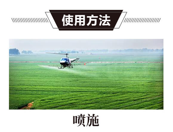 ̼?x��)�˷?�t���T-̼?x��)�?gu��)�H_05