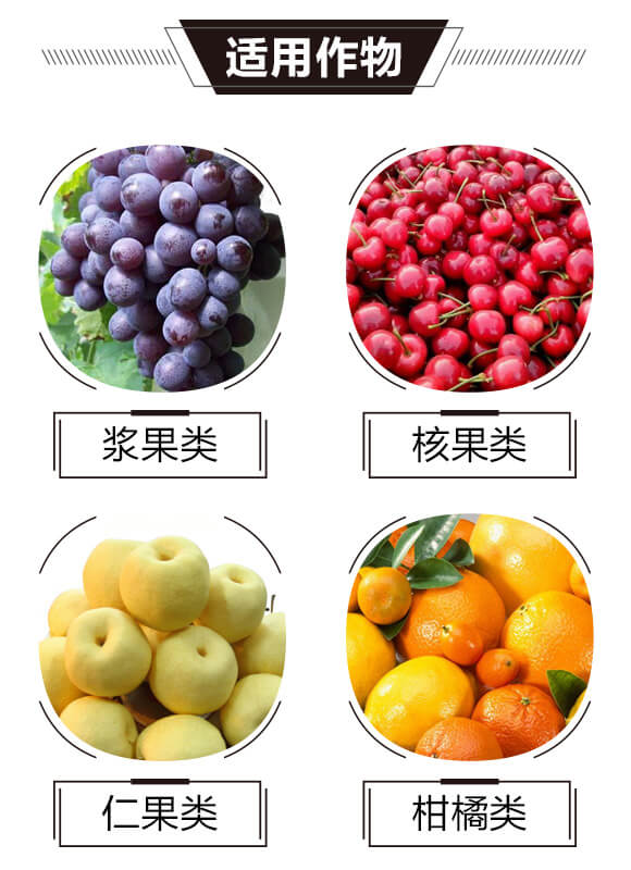 ̼?x��)�˷?�t���T-̼?x��)�?gu��)�H_03