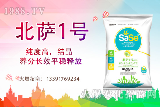 山茶花該怎么養(yǎng),山茶花養(yǎng)殖方法和注意事項!