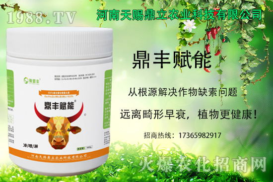 油麥菜怎么進(jìn)行追肥？油麥菜的種植注意事項(xiàng)！