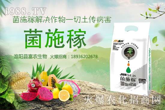 2020年農(nóng)村種野菜賺錢嗎？選擇哪些野菜品種效益高？建議收藏！