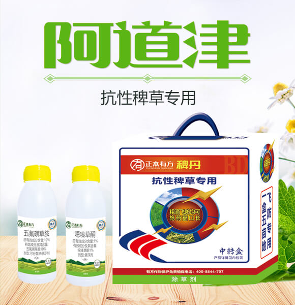 ���԰޲݌���-�޵�-�����з�_01