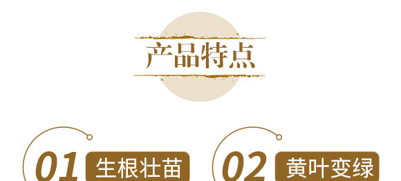 中藥材三七當歸專用-含腐植酸水溶肥-北美農大_05