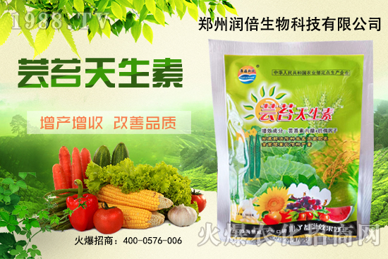 �S�B������ô�������S�B���ڲ��x��������