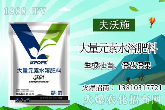 冬瓜高產(chǎn)施肥要點，冬瓜什么時候采收？