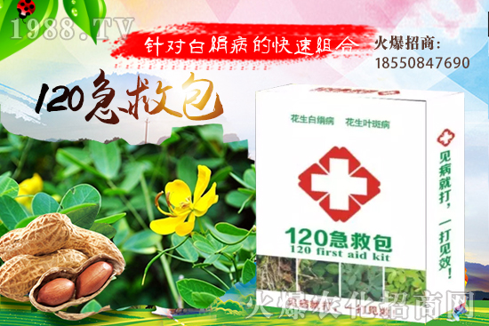 黃瓜嫁接有什么好處？如何培育黃瓜嫁接苗？