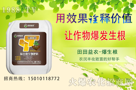 ���¿��ԷNֲ���߲�����Щ�����·N�߲˹���Ҫ�c��