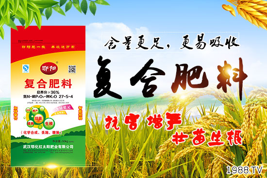 血橙有哪些營(yíng)養(yǎng)價(jià)值?吃血橙有什么好處?