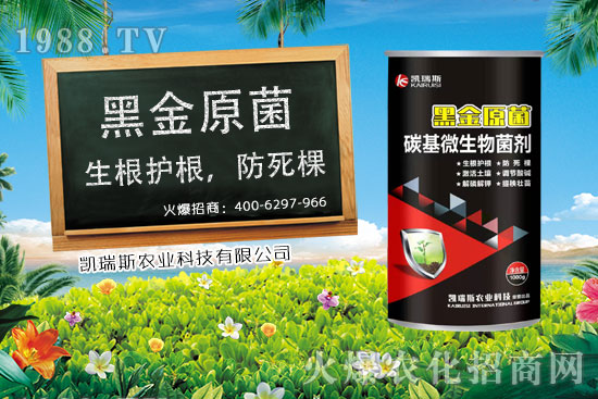     玉米什么時候成熟，玉米的收獲時期，玉米的營養(yǎng)價值！