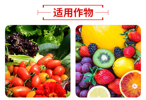 山東濟(jì)寧金網(wǎng)聯(lián)配方肥有限公司產(chǎn)品詳情頁3_05