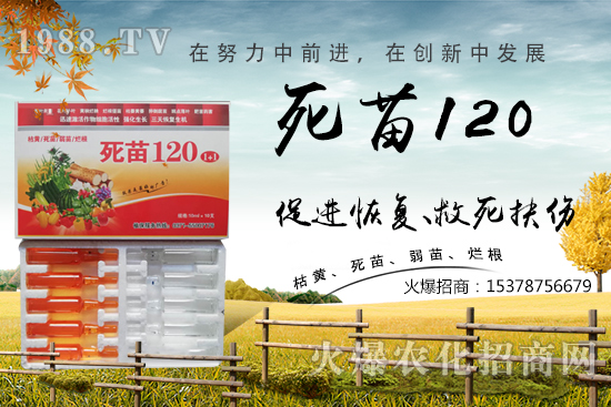  �߲˷Nֲ���L���������������砀�����W���@Щ�������߲����砀�������£�