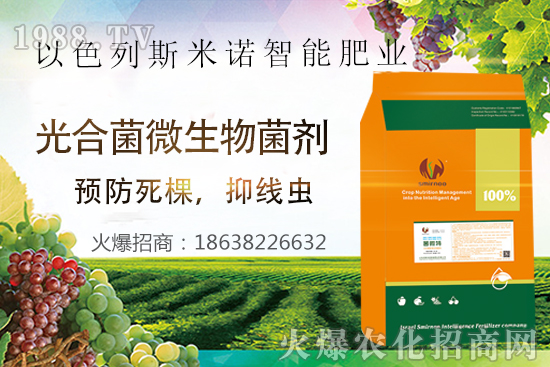 ���Y(ji��)���xΣ������̫�y��������΢�ء����æ�����ƾ��x���x�����Ƀ���