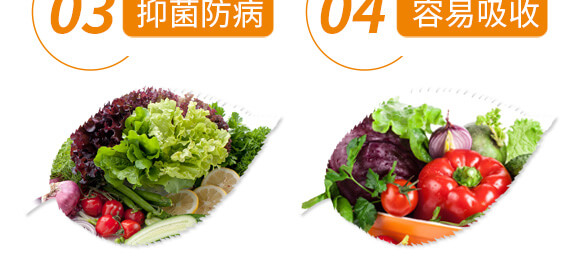 ׷ʽ(dng)-ֲ(lin)_07