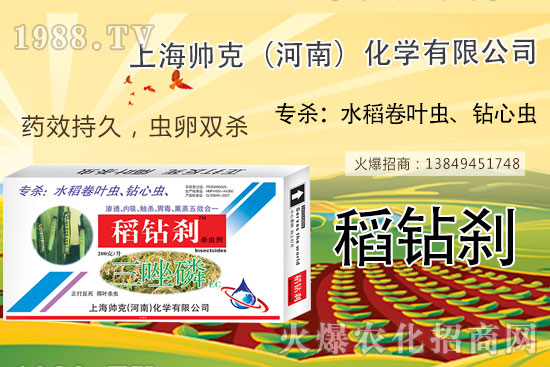     水稻鉆心蟲不好打？那是你沒用它！水稻鉆心蟲選對(duì)藥，防治不用愁！