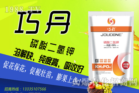 茄子需肥特性有哪些，夏季茄子高產(chǎn)管理技巧！