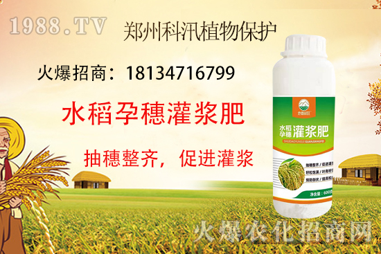 水稻施肥有技巧,這些你都知道了么?水稻施肥技術(shù)要點(diǎn)!