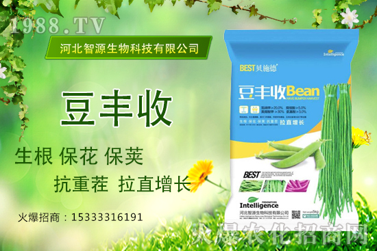 ���ˡ����S�ա���������ֱ���L�a���������S����ʲô��(y��u)����