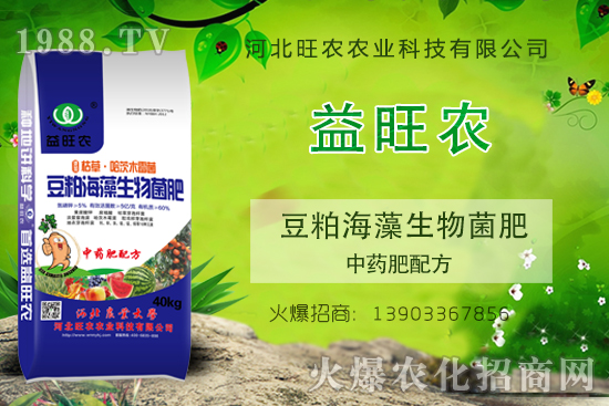 �����ɺ���������ʡ���ʲô���������Ă���˾���a����