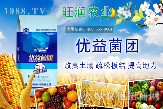 �����ЙC(j��)����ʲô�ʣ������ЙC(j��)�ʵă�(y��u)��(sh��)���c�������ϵą^(q��)�e��