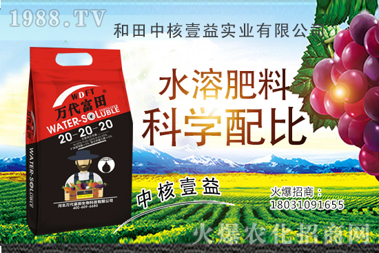 四季海棠多久澆一次水？四季海棠澆水過多怎么挽救？