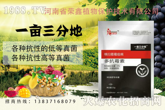 �׷ۡ��C����˪ù�������y��������ˎ������Щ�������a(ch��n)Ʒ�R����