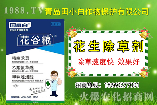 花生田雜草種類多,花生除草劑怎么選?花生除草用藥推薦!