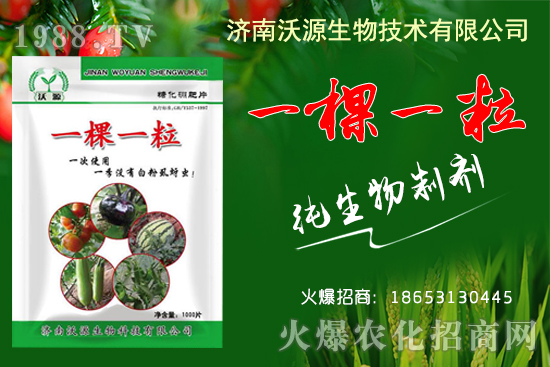     蚜蟲、白粉虱、薊馬怎么防？沃源生物“一棵一?！睔⒊x卵，藥效！
