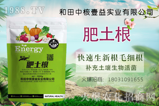 中核壹益“肥土根”有什么功效？肥土根使用方法詳解