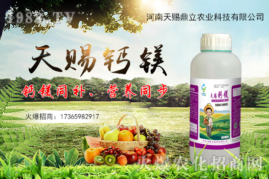 ���n������ʲô��(y��u)�������n�������Ʈa(ch��n)Ʒ����Щ��