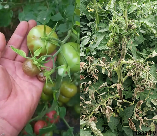 ����������ΰl(f��)�������Л]�кõķ��δ�ʩ�������@�ׂ�����߀�оȣ�