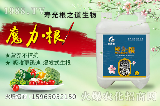 要想作物好，根系更重要！壽光根之道怎么樣？有哪些爆款產(chǎn)品？