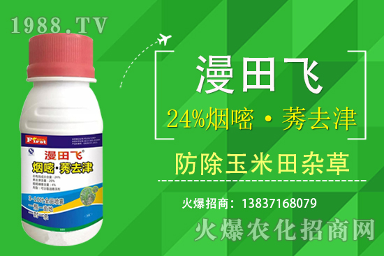 24%煙嘧·莠去津除草效果好嗎？24%煙嘧·莠去津有什么特點？