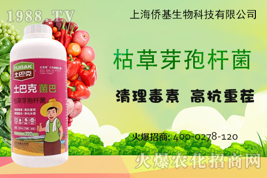 �Ϻ��S�������Ϳˡ�-��ע�����������غ������ޏ�(f��)15����