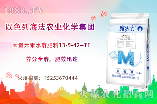 海法農(nóng)業(yè)為啥這么牛？海法農(nóng)業(yè)生產(chǎn)特色是什么？主打哪些產(chǎn)品？