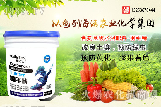 海法農(nóng)業(yè)為啥這么牛？海法農(nóng)業(yè)生產(chǎn)特色是什么？主打哪些產(chǎn)品？