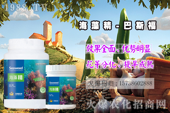 還不了解海藻精是啥?那你就真的out了!海藻精作用有多大?