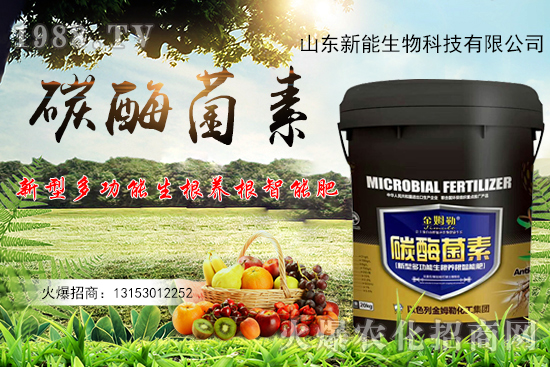 һ�ʶ��ã��ЙC(j��)̼+����ø+�����+�I(y��ng)�B(y��ng)Ԫ����̼ø������ʲô������