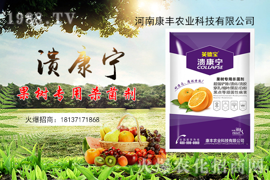 柑橘潰瘍病又到高發(fā)期，康豐農(nóng)業(yè)“潰康寧”防治效果怎么樣？