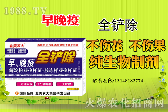 早晚疫危害嚴(yán)重,早晚疫防治措施有哪些?