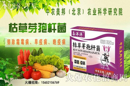 枯草芽孢桿菌治根腐病嗎，防治哪些土傳病害？防治對(duì)象有哪些？