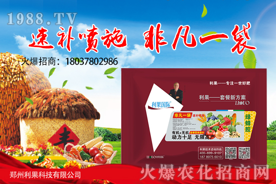 花生要高產(chǎn)，苗期管理要做好！花生苗期應(yīng)該如何管理？