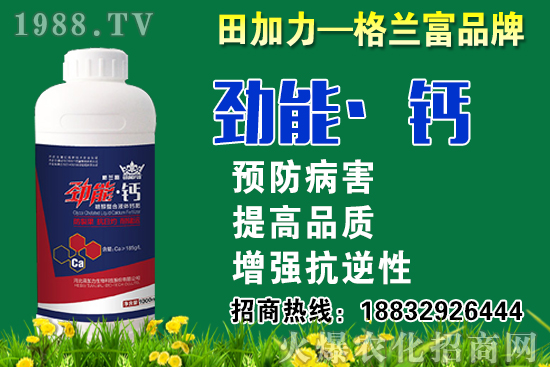 2020秋蘿卜什么時候種？秋蘿卜種植要注意哪些問題？