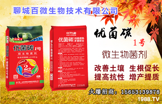 硼元素有什么作用？果樹缺硼有什么后果？什么時候補硼？