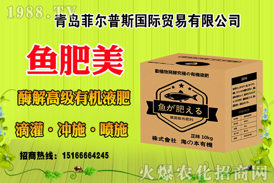 玉米結(jié)實(shí)不好啥原因？有法補(bǔ)救嗎？玉米結(jié)實(shí)不良改善措施！