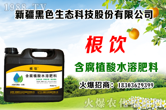 立秋后露地大白菜播種時(shí)間，管理需注意什么問(wèn)題？