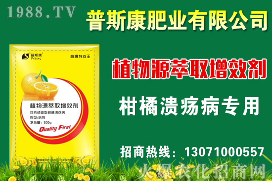 茭白無(wú)公害栽培技術(shù)要點(diǎn)，茭白采收標(biāo)準(zhǔn)及方法！